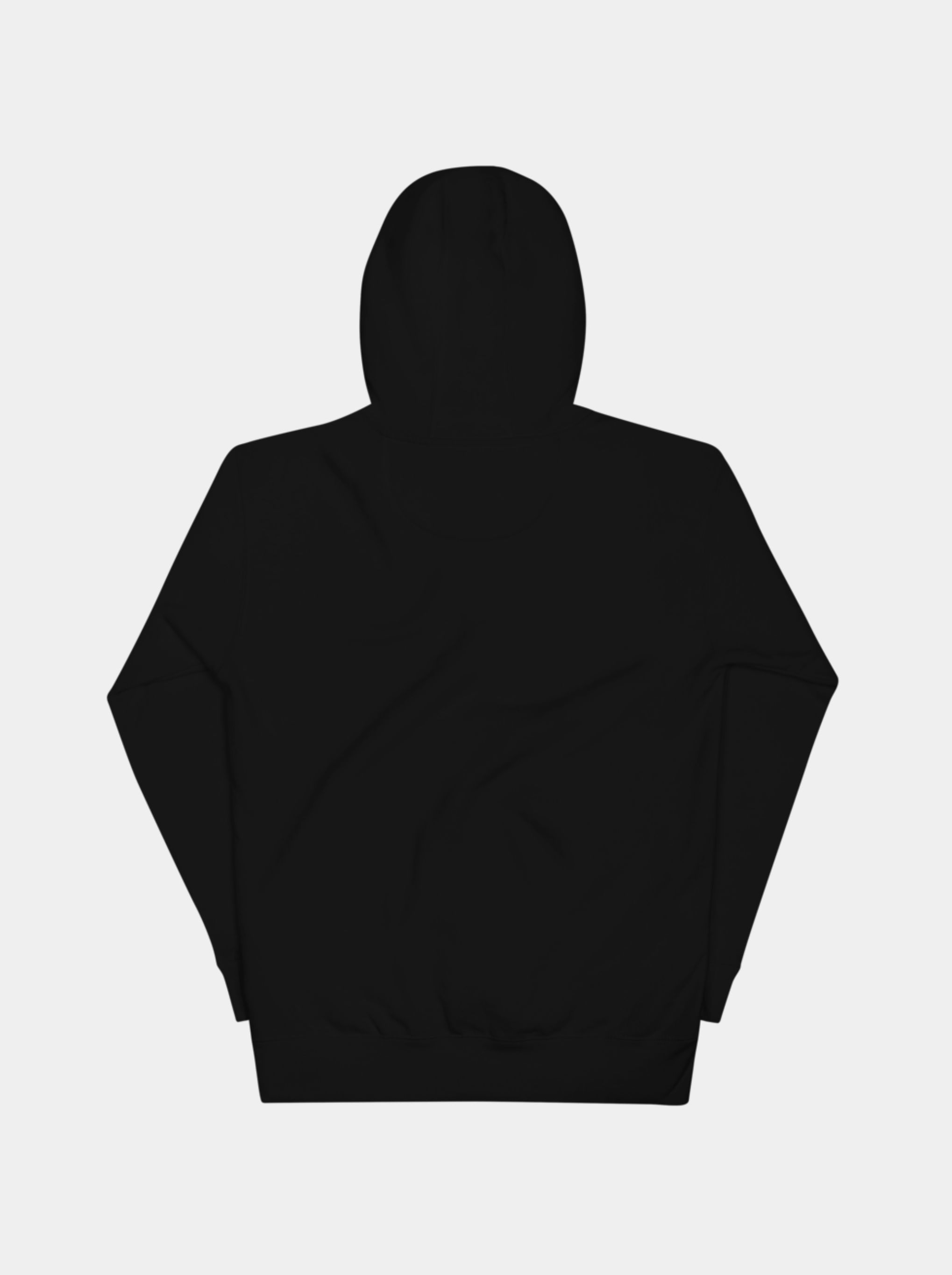 Wings Hoodie