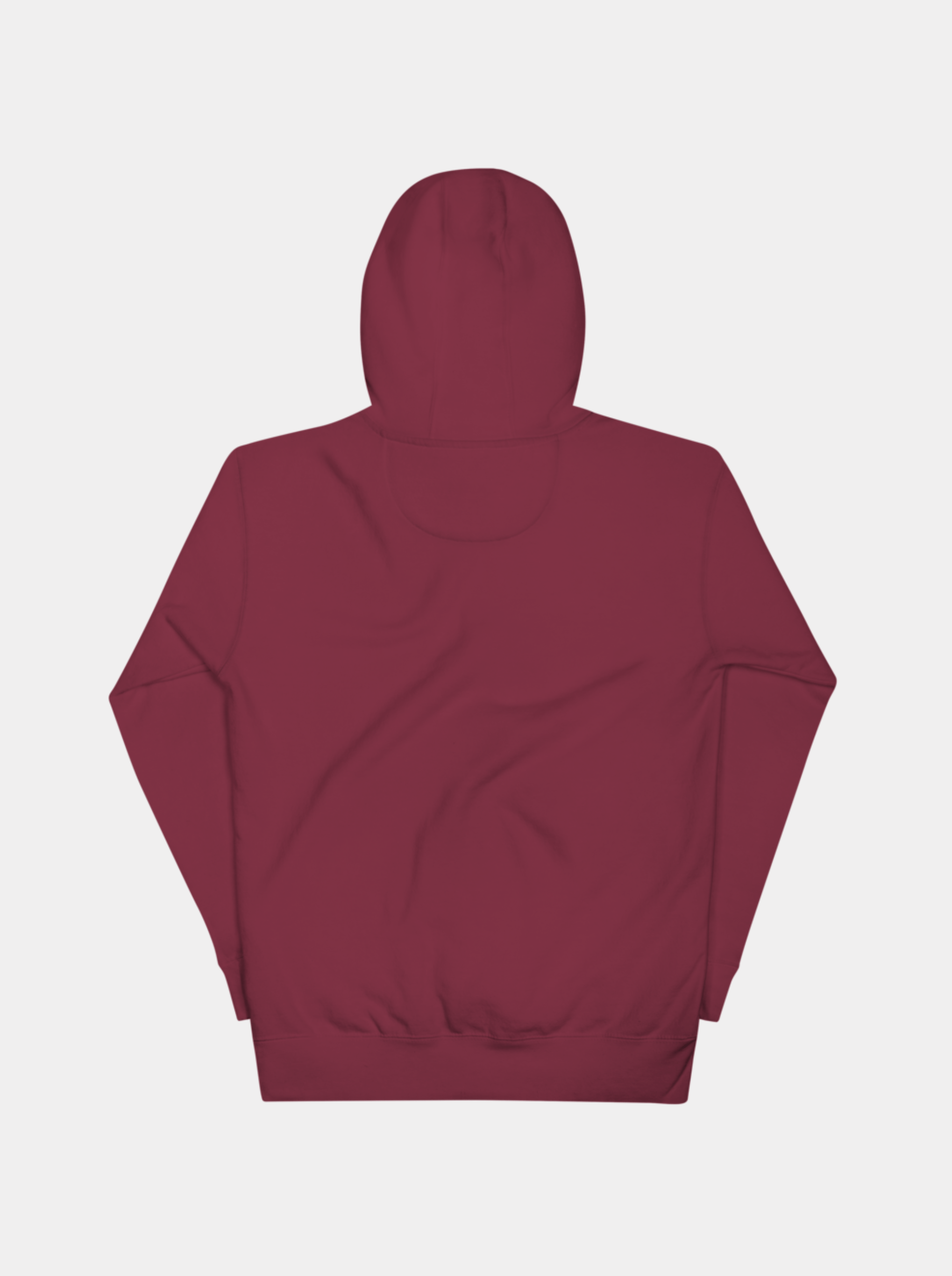 Wings Hoodie