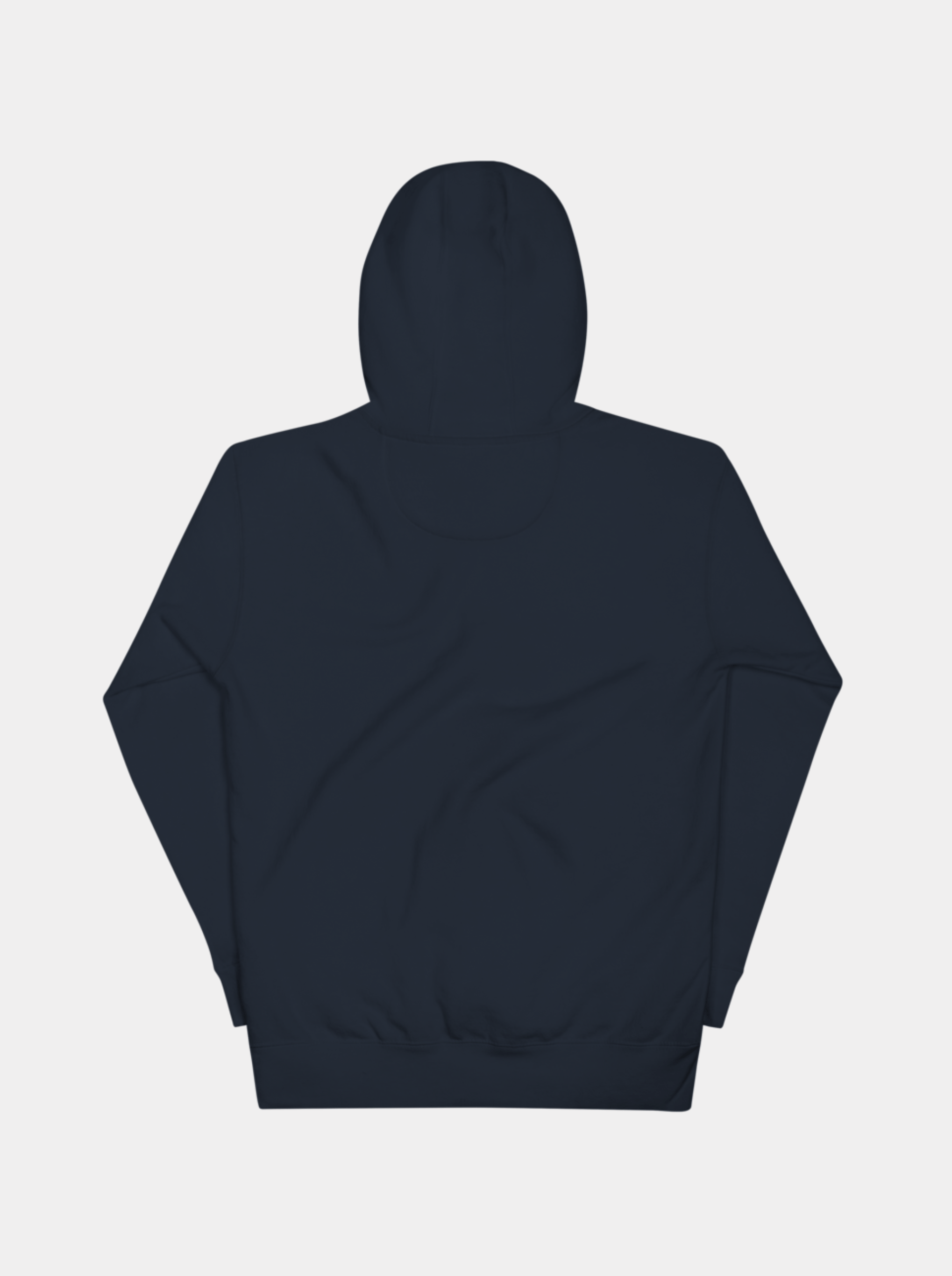 Wings Hoodie