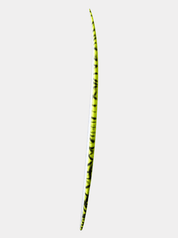 XYZ - 5'8" Yellow/Black Rails