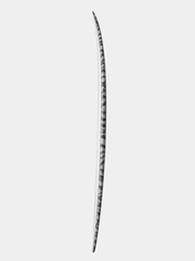 XYZ - 6'0" Grey/Black Rails